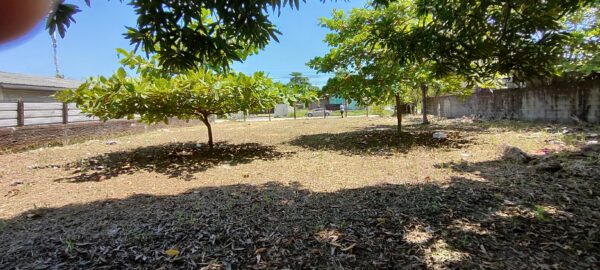 Terreno en Barrio San Ramón, Puerto Cortés - Image 2